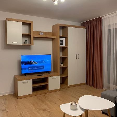 Sunny Apartment In Suceava Buitenkant foto